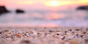 Blurry image of shells on a beach at sunset